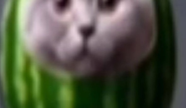 Na zdrowie – Jan Kochanowski