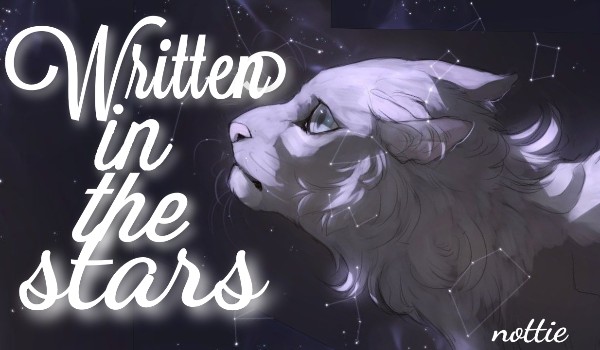 Written in the stars| rozdział 1