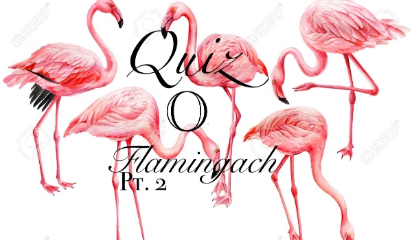 Quiz o flamingach pt. 2