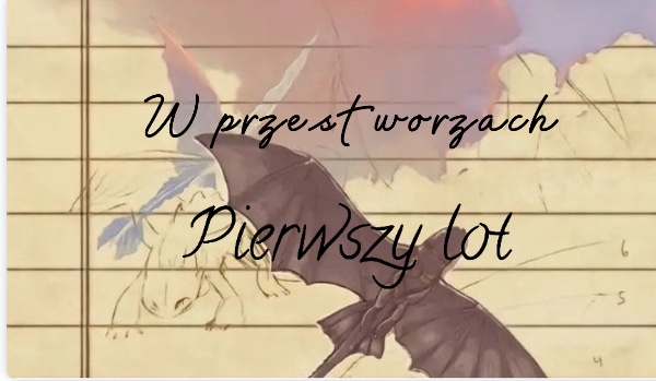 W przestworzach. Pierwszy lot. Rozdział 3.