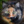 Soul_paw