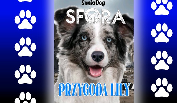 SFORA. Przygoda Lily |Rozdział I|