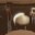 cameraman111