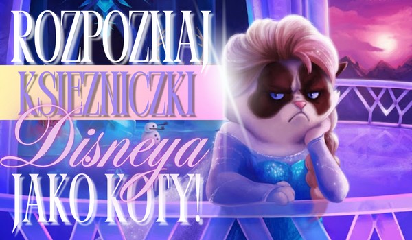 Rozpoznaj księżniczki Disneya jako koty!