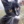 lavenda_cat