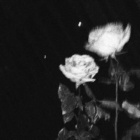 Night_fire