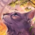 Dragon_Heart13