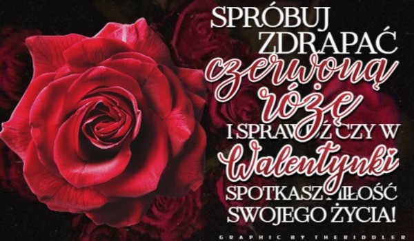 Spróbuj zdrapać Czerwoną Różę i sprawdź, czy w Walentynki spotkasz miłość swojego życia!