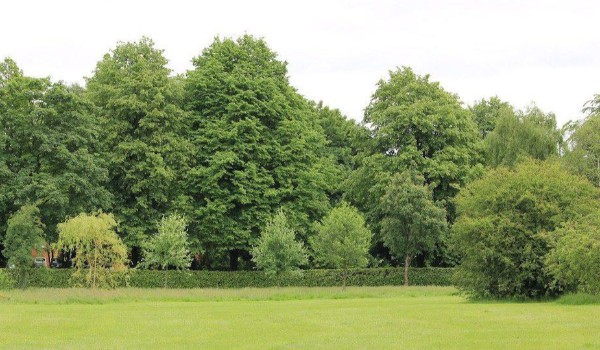 Zagrożenia i walka z nimi