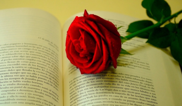 Czy dostaniesz coś na walentynki?