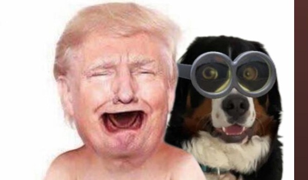 jaki jest twoj kolor skory