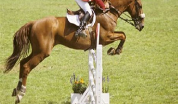 Jeździec Cieni: Rozdział 2 : Legendy