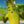 PimpoPlayGames