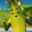 PimpoPlayGames
