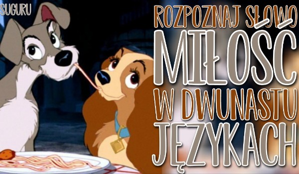 Rozpoznaj słowo ,,Miłość” w 12 językach!