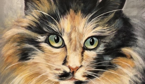 Opowieść o Szylkretowym Futrze #3