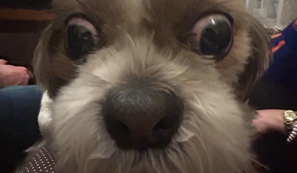 Jak dobrze mnie znasz??