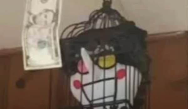 Ile masz IQ untitled edition