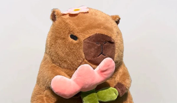 jaka kabibara do ciebie pasuje