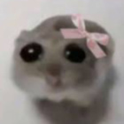 kicia_misiapu