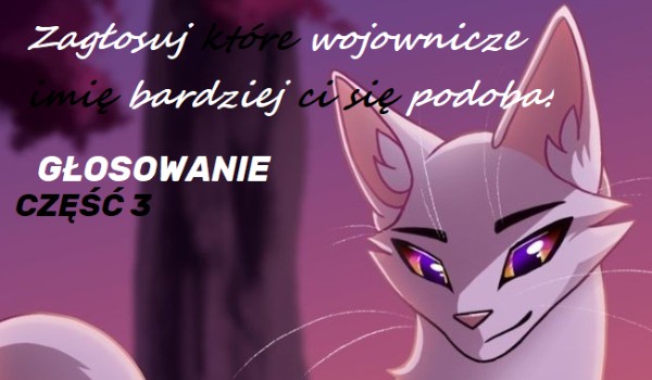 Zagłosuj które imię z wojowników jest ładniejsze! CZĘŚĆ 3
