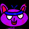 Ninjakot123