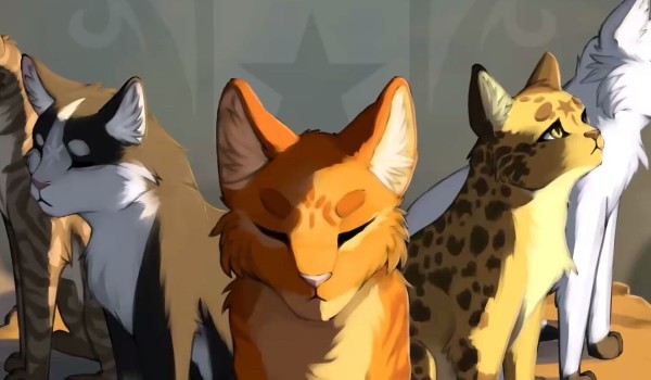 Zgadnij te nazwy z wojwonikow!