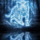 .-Spirits_of.Nature-.