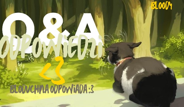 ~ Q&A odpowiedzi! ~