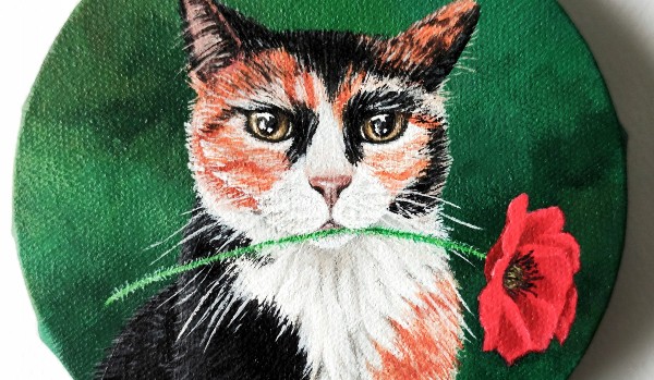 Jaki to kot z wojowników?