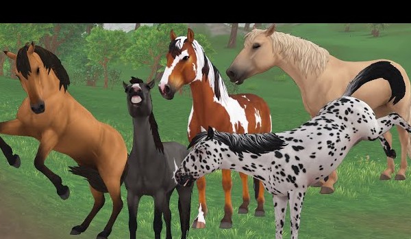 Test wiedzy o Star Stable Online