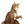 Honeytail
