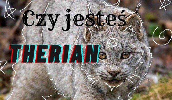 Czy jesteś therian – test!