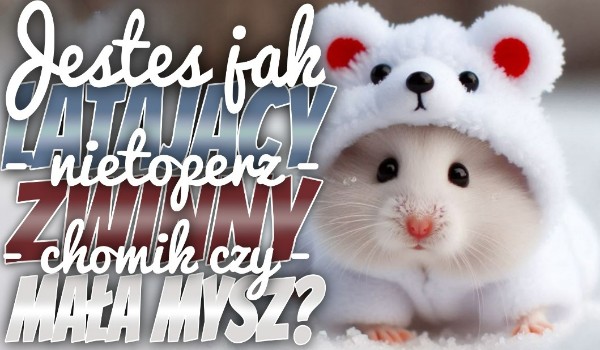 Jesteś jak: Latający Nietoperz, Zwinny Chomik czy Mała Mysz?