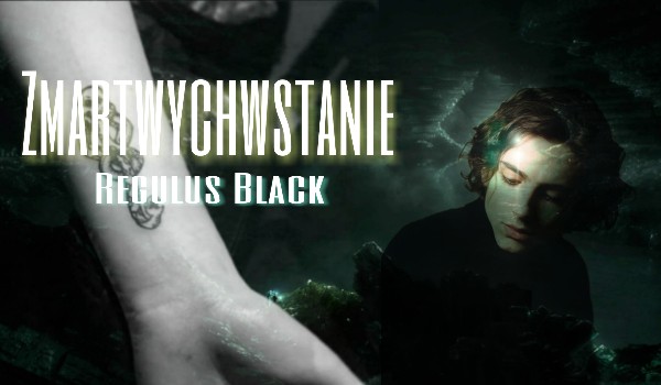 Zmartwychwstanie: Regulus Black || Rozdział 32