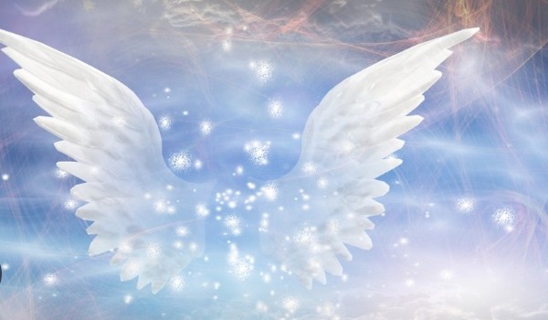 Quiz- MSP:ANGELS