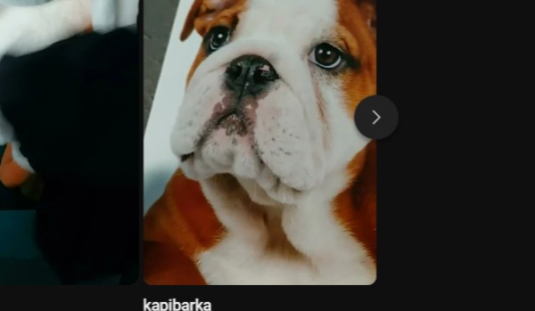 Test na Admina Krainy osób biednych