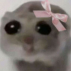 Flower_Paws_in_SameQ