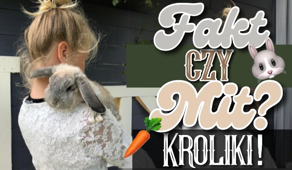 Fakt czy mit? — Króliki!