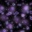 Patrycja12273