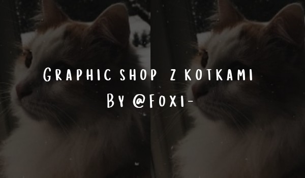 Graphic shop z kotkami.