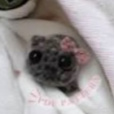 Cutemyszka._.Haniuli
