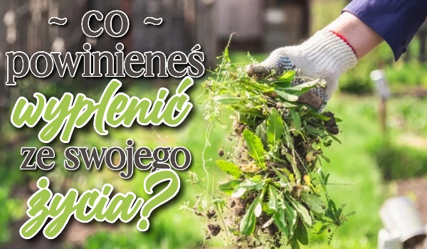 Co powinieneś wyplenić ze swojego życia?