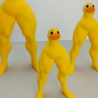 Nokuzwamaccotomabyc_kurde