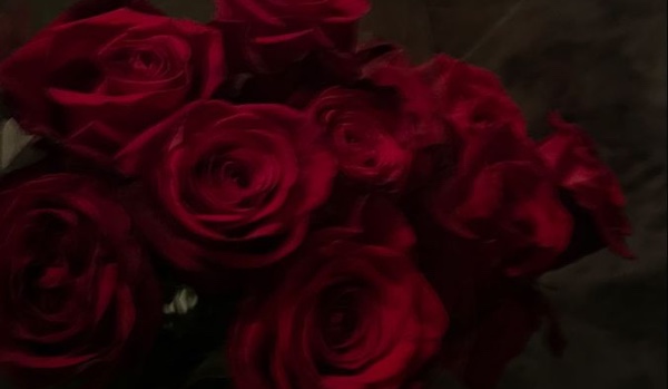 Czerwone Róże Naszych Uczuć ~ #3