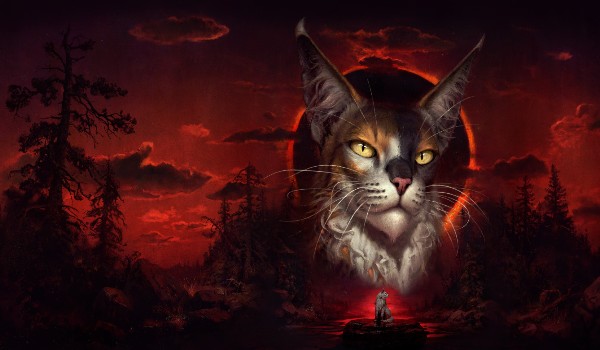 Wyniki Konkursu za 70? obserwujących :)