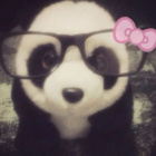 _fanka.st_