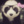 _fanka.st_