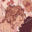 Jupiter_213