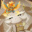 RandomGenshinPlayer
